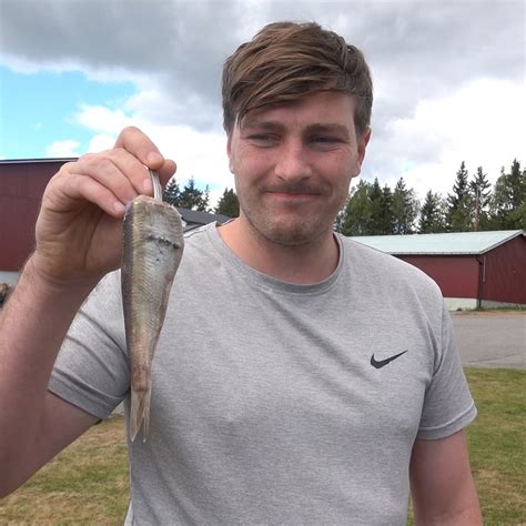 Swedish Surströmming: The Worlds Smelliest Food